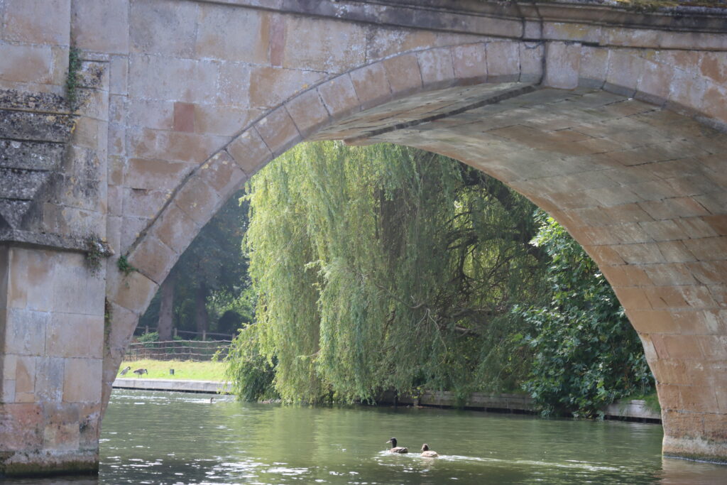 river cam bridge sunny day