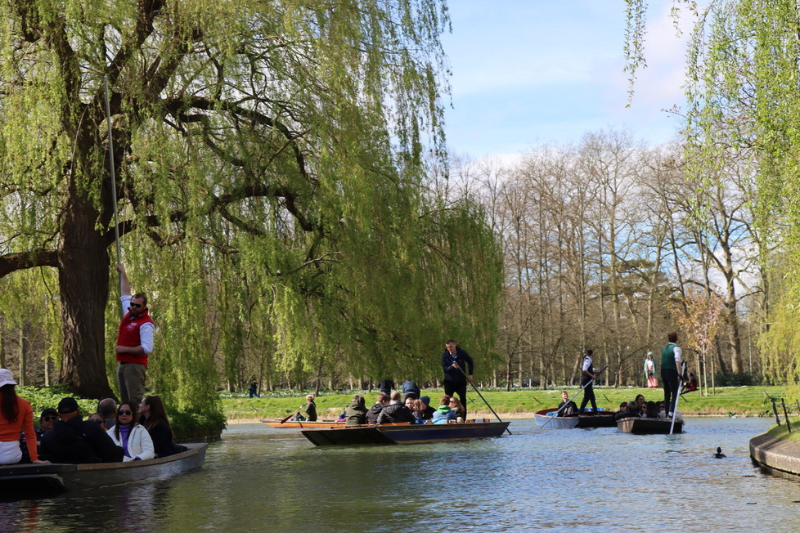 Punting in Cambrige along the Collage backs during Spring