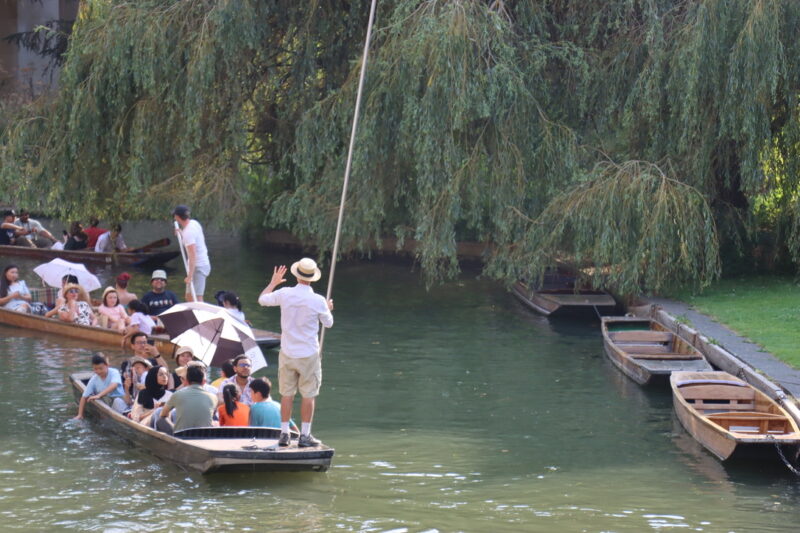 Golden hour punting on the Cam