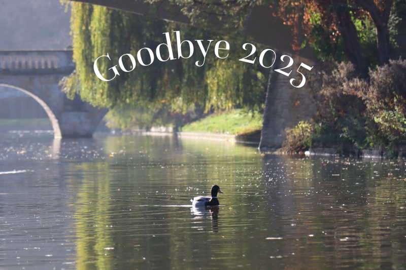 Goodbye 2025 Lets Go Punting Cambridge
