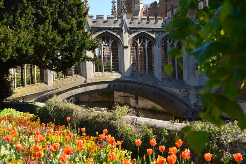 The Bridge of Sighs in Cambridge in the Spring.