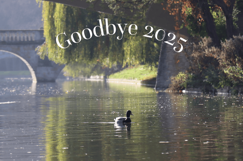 Goodbye 2025 text over a calm River Cam scene with a duck and a stone bridge.