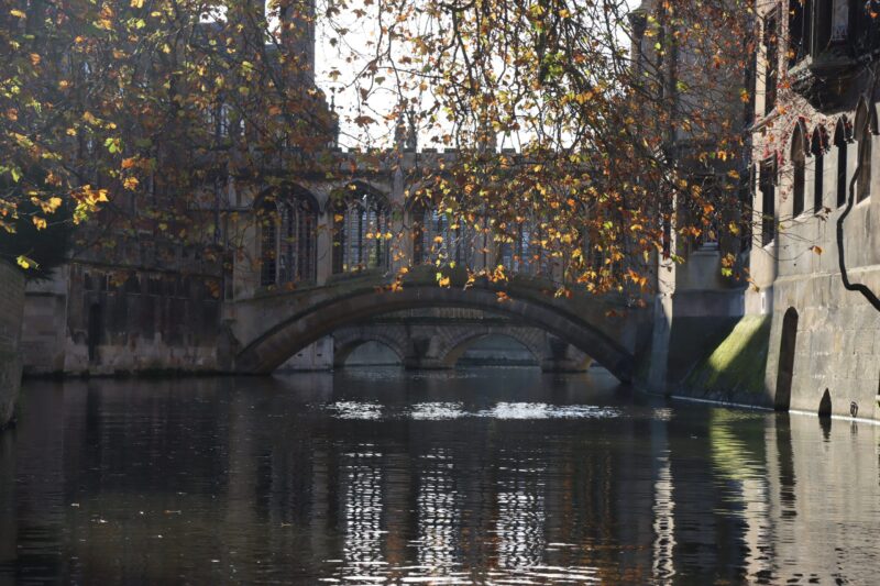 Autumn leaves hanging over the River Cam as punts approach the Bridge of Sighs at St John's.