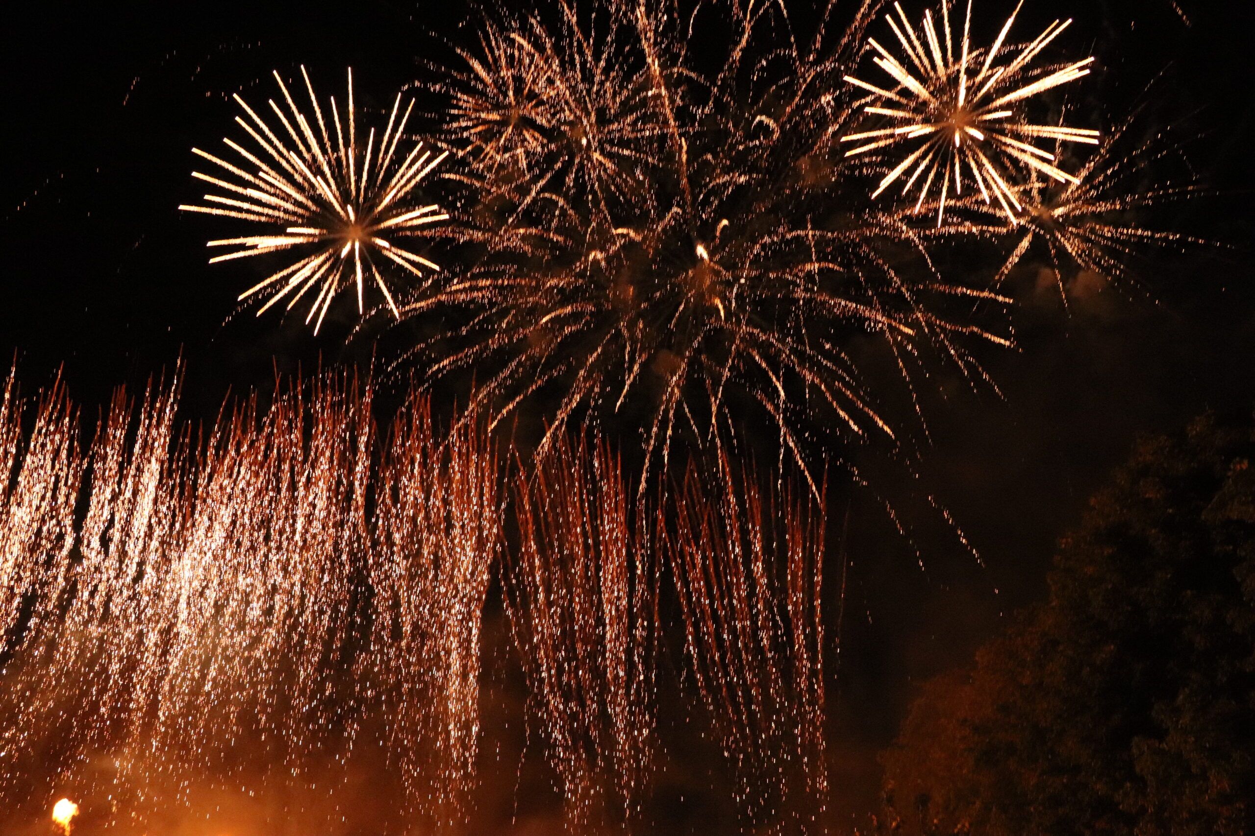fireword display may ball cambridge