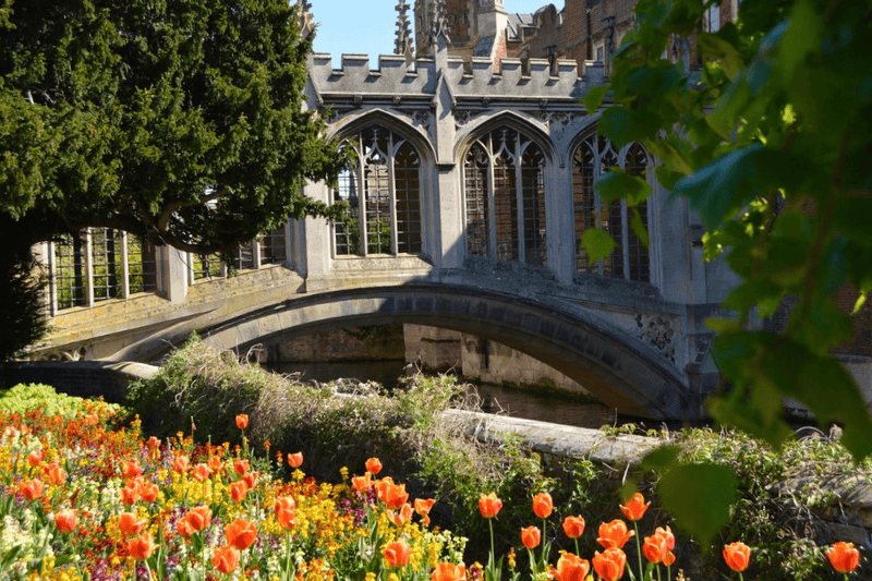 The Bridge of Sighs in Cambridge in the Spring.