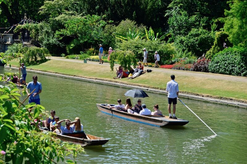 Punts gliding along the River Cam past sunny riverside gardens in summer.