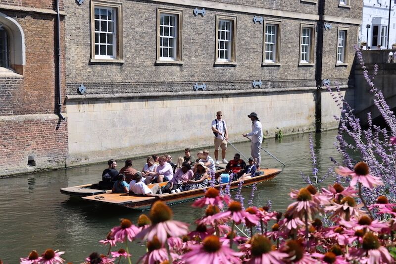 Two punt chauffeurs guiding tour punts past a college wall, with pink coneflowers in front.